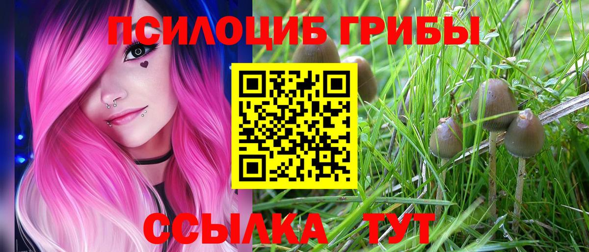 Галлюциногенные грибы GOLDEN TEACHER  Вход с VPN  Керчь  Псилоцибиновые грибы Psilocybe 
